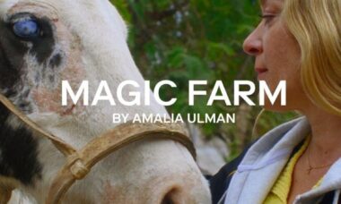 magic farm